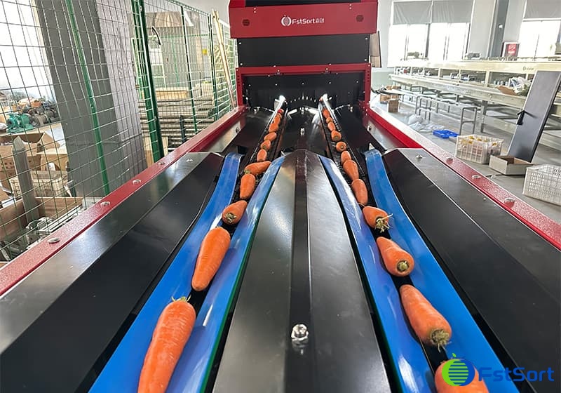 images/1711961951762sweet potato optical sorting machine.jpg